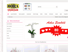 Tablet Screenshot of boracicekcilik.com